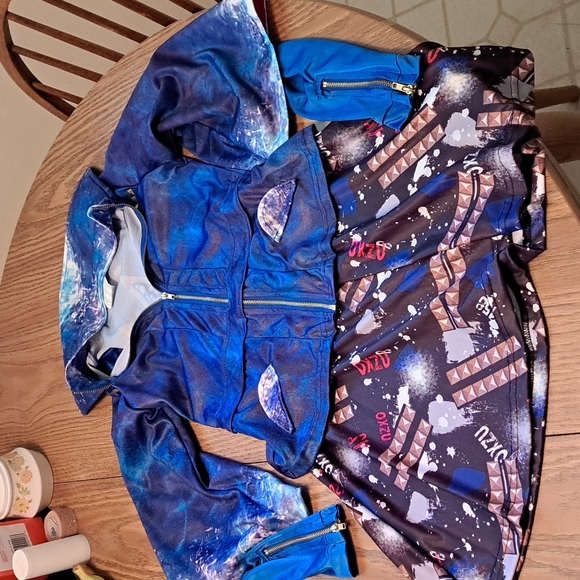 Disney desendents costume